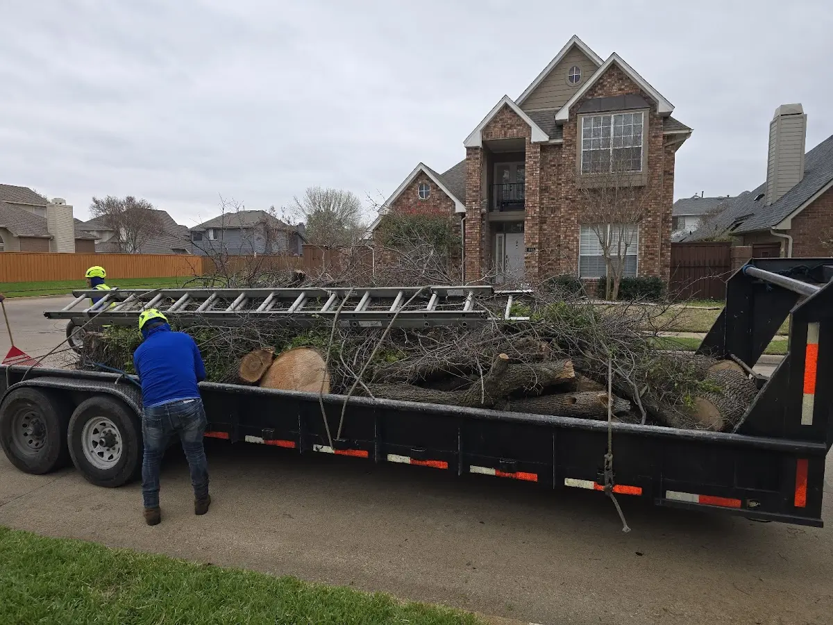 Expert Crown Reduction with proper safety equipment in Grandville